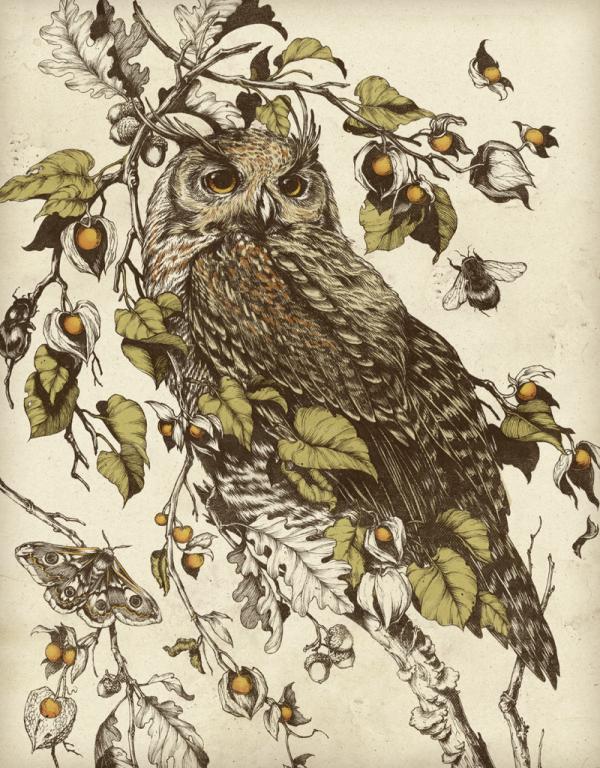 Illustrations by Teagan White