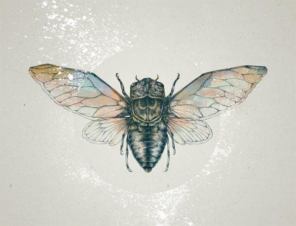 Illustrations by Teagan White