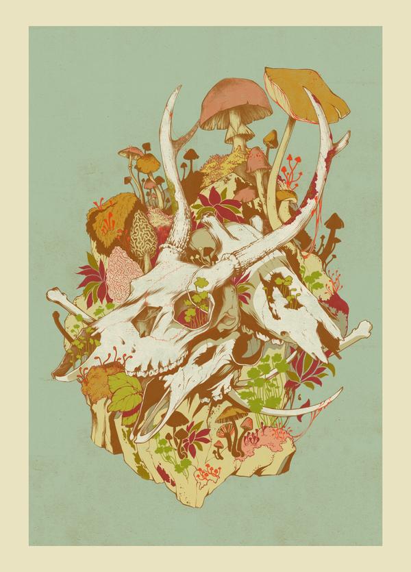 Illustrations by Teagan White