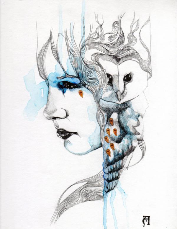 Illustrations by Patricia Ariel