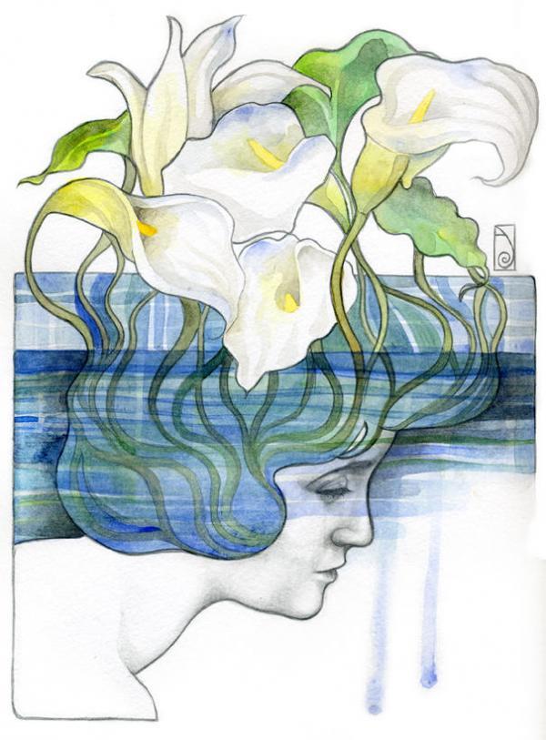 Illustrations by Patricia Ariel