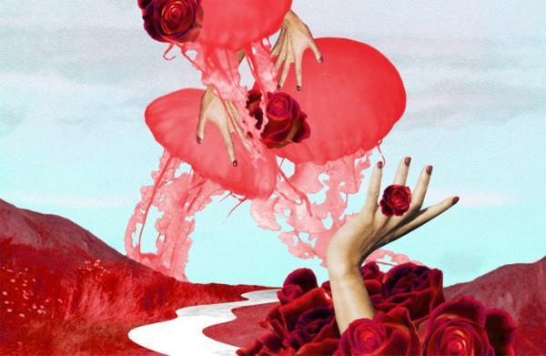 Illustrations by Belinda Chen