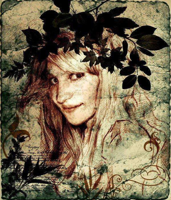 Illustrations by Marcello