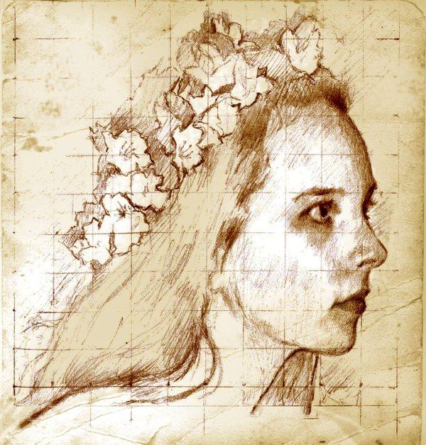 Illustrations by Marcello