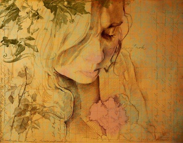Illustrations by Marcello