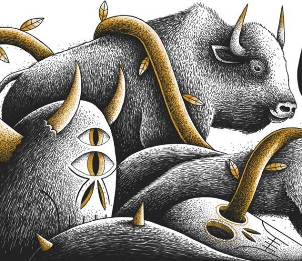 Illustrations by Nicolas Barrome