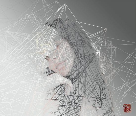 Illustrations by Andre Wee