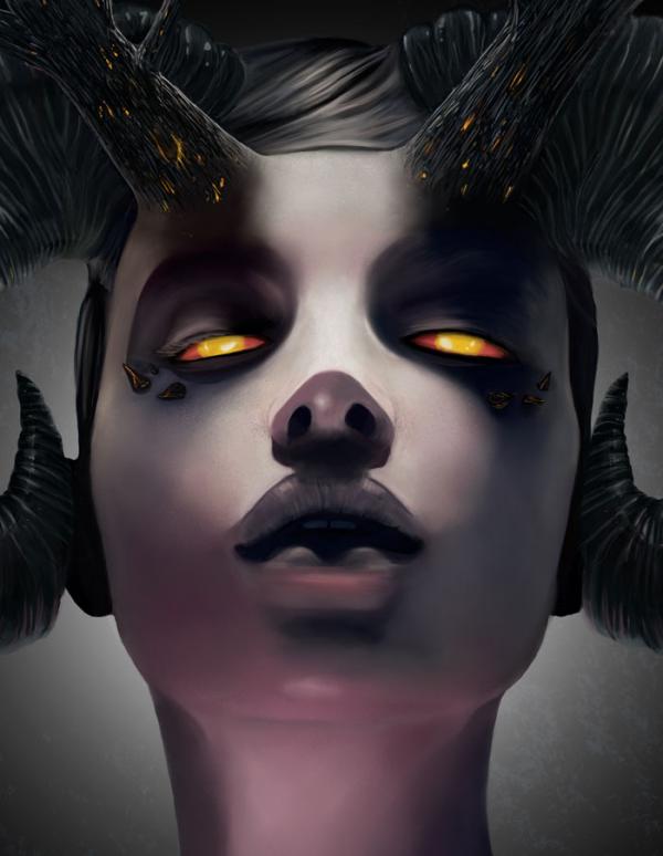 Illustrations by Rob Shields
