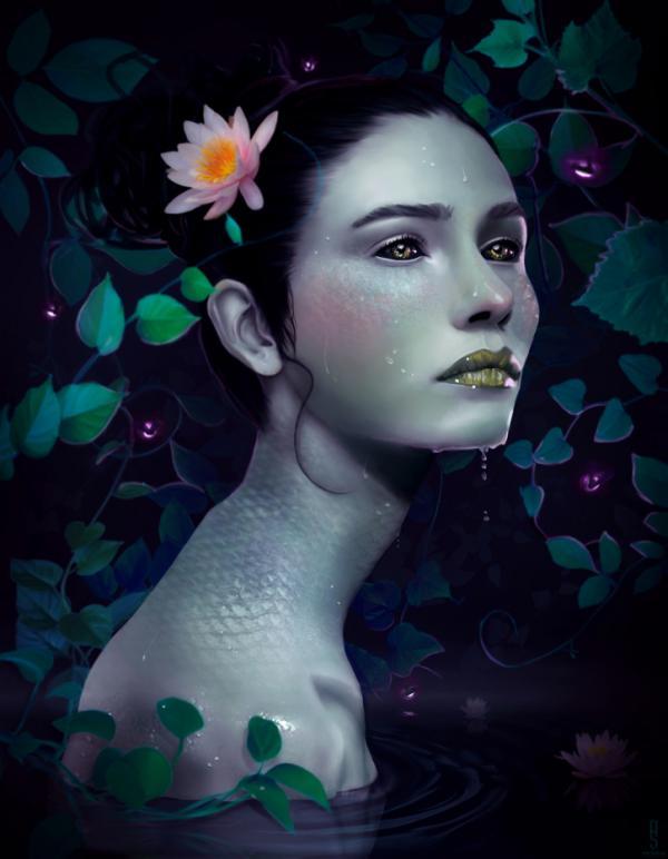 Illustrations by Rob Shields
