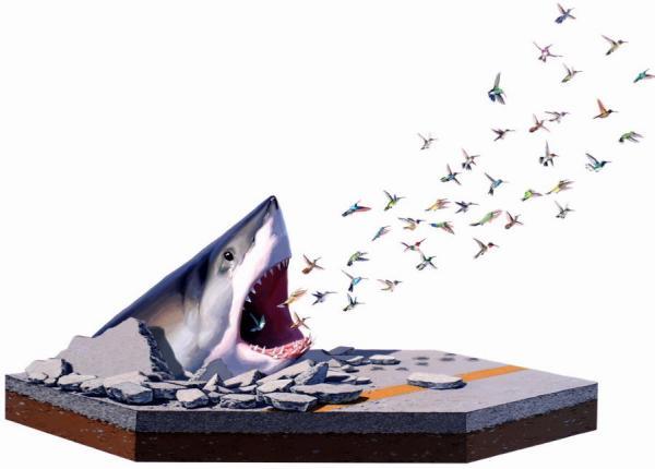 Scientific Textbook illustrations by Josh Keyes