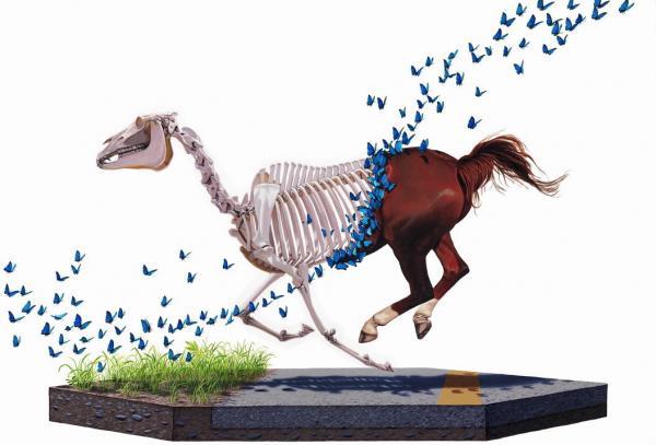 Scientific Textbook illustrations by Josh Keyes