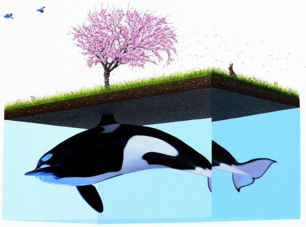 Scientific Textbook illustrations by Josh Keyes