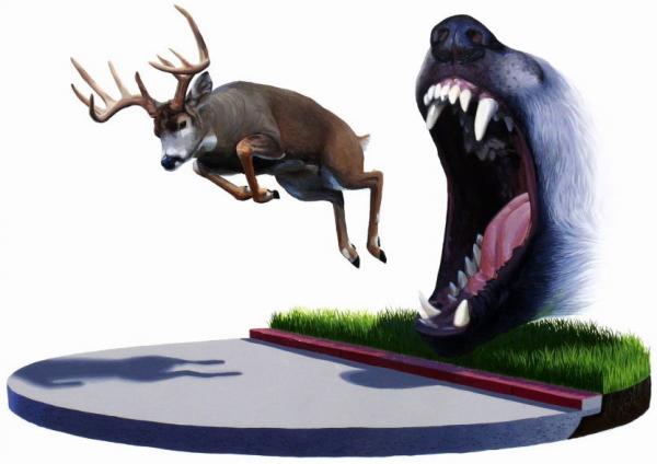Scientific Textbook illustrations by Josh Keyes