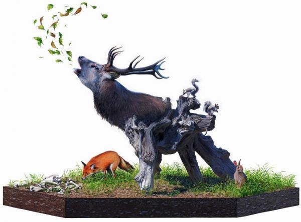Scientific Textbook illustrations by Josh Keyes