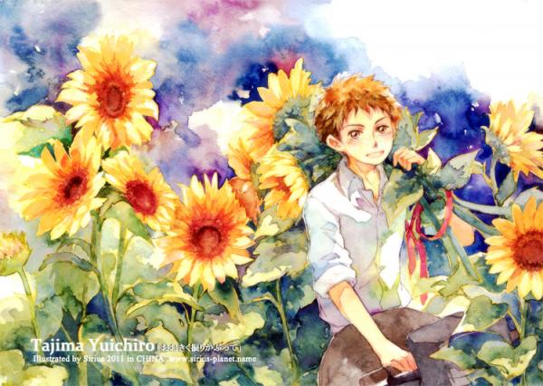 Illustrations by SiriusPlanet