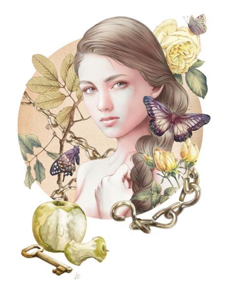 Illustrations by Ise Ananphada