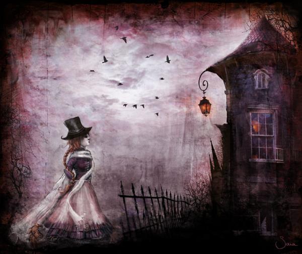 Illustrations by Sara Vandermeulen