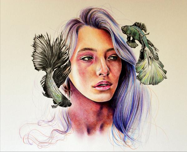 Drawings by Kate Louse Powell