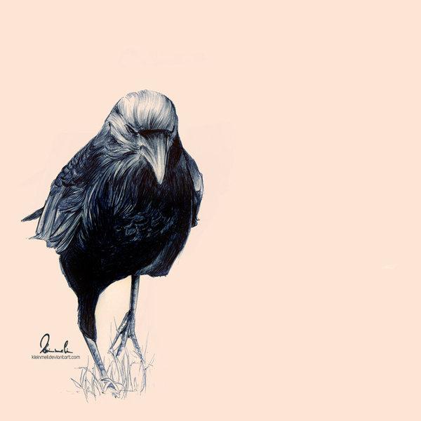 Portrait Illustrations by Kleinmeli