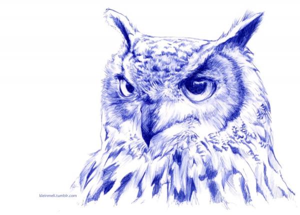 Portrait Illustrations by Kleinmeli