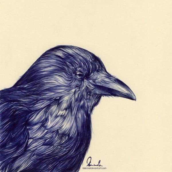 Portrait Illustrations by Kleinmeli