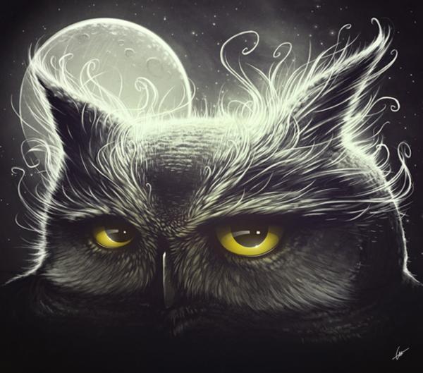 Illustrations by Lukas Brezak