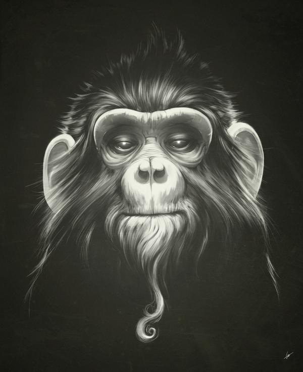 Illustrations by Lukas Brezak