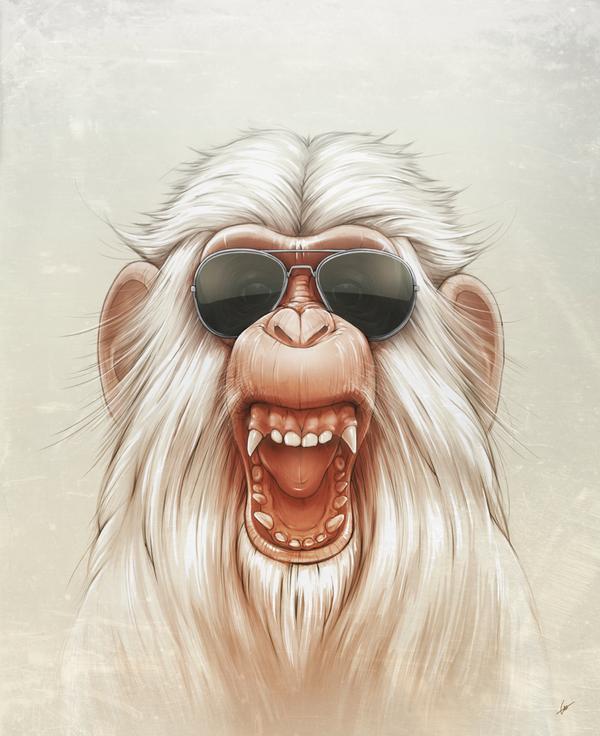 Illustrations by Lukas Brezak
