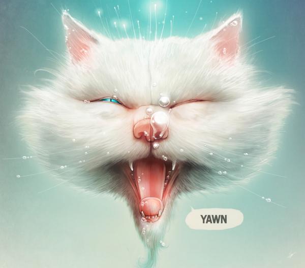 Illustrations by Lukas Brezak
