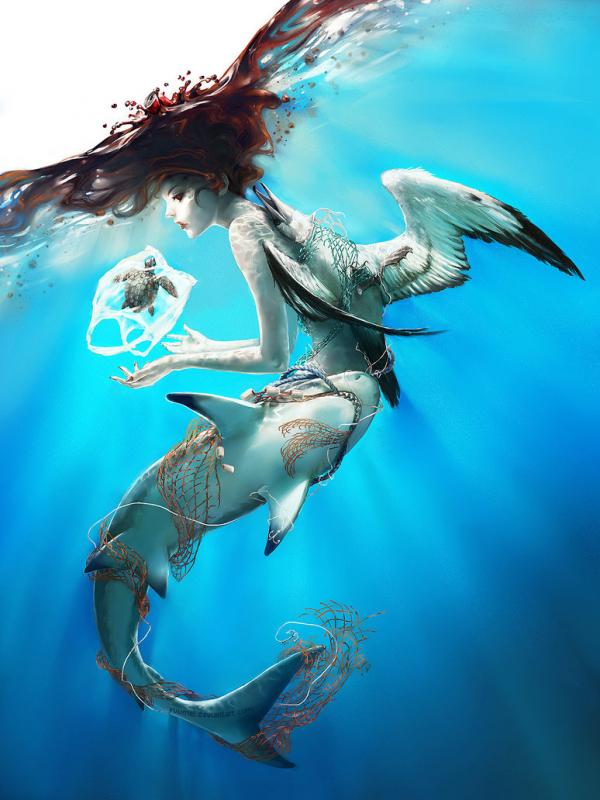 Illustrations by Wenqing Yan