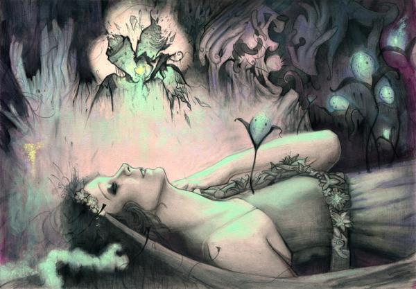 Illustrations by Rodrigo Enrique Luff