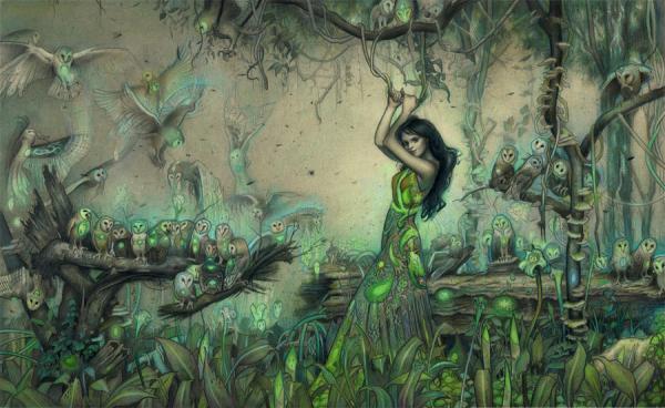 Illustrations by Rodrigo Enrique Luff