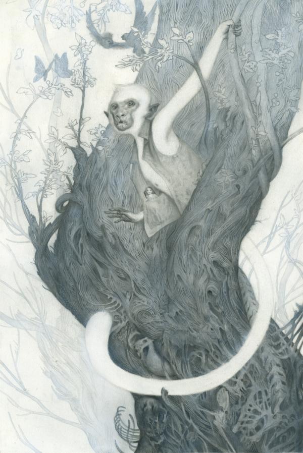 Illustrations by João Ruas