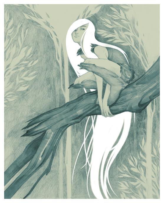 Illustrations by Ashley Mackenzie