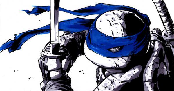 Ninja Turtles Illustrations by Ross Campbell