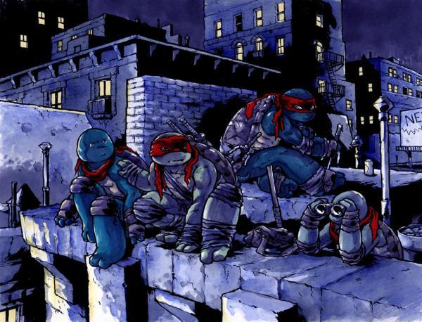 Ninja Turtles Illustrations by Ross Campbell