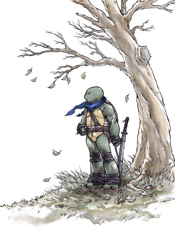 Ninja Turtles Illustrations by Ross Campbell