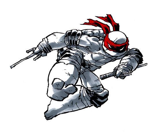 Ninja Turtles Illustrations by Ross Campbell