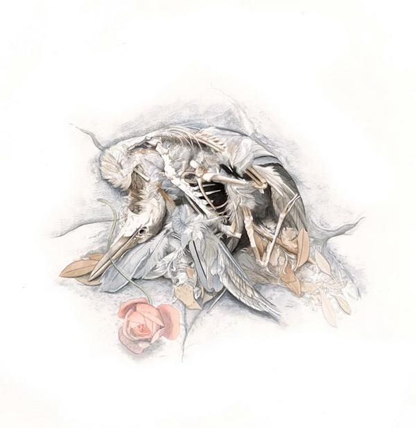 Intricacies Of Nature By Tiffany Bozic