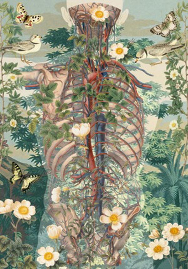 Awesome Anatomical Collages by Juan Gatti