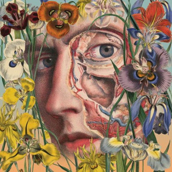 Awesome Anatomical Collages by Juan Gatti
