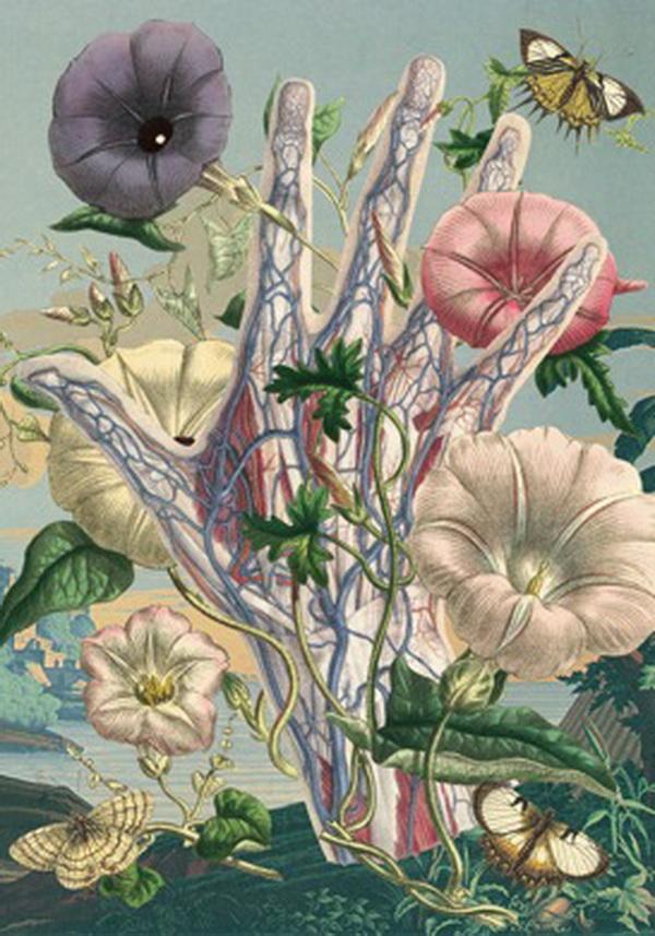 Awesome Anatomical Collages by Juan Gatti
