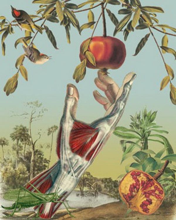 Awesome Anatomical Collages by Juan Gatti
