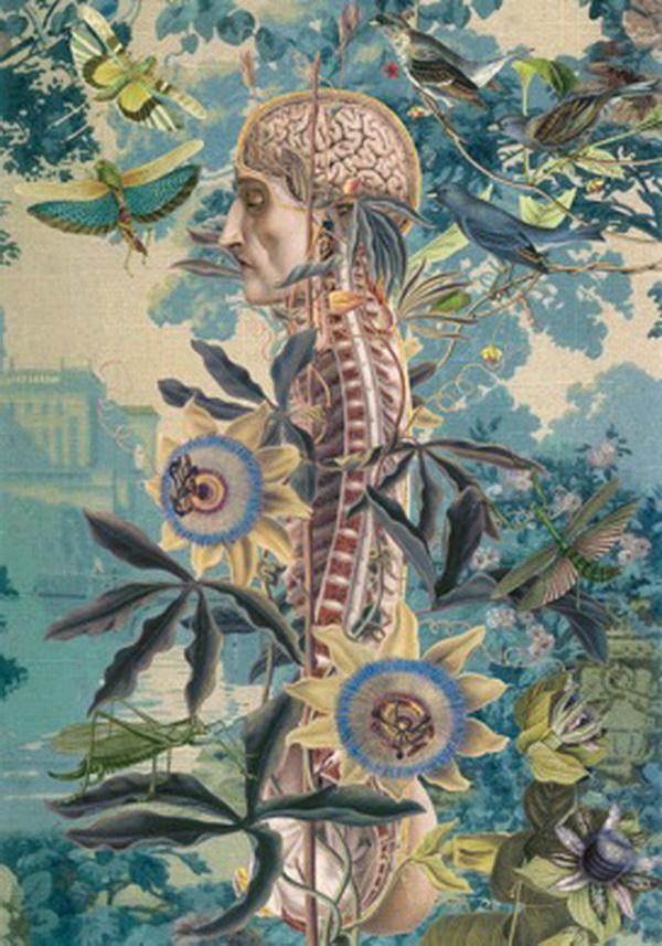 Awesome Anatomical Collages by Juan Gatti