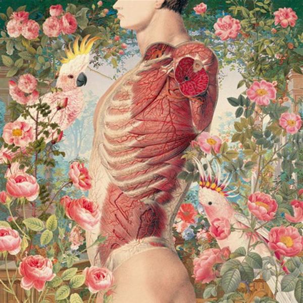 Awesome Anatomical Collages by Juan Gatti