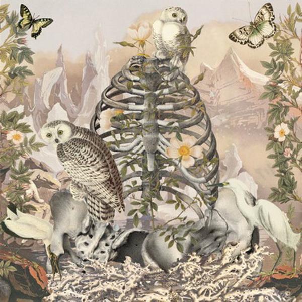 Awesome Anatomical Collages by Juan Gatti