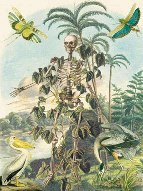 Awesome Anatomical Collages by Juan Gatti
