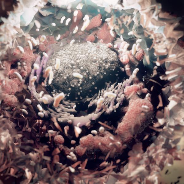 Scientific Illustrations by Markos Kay