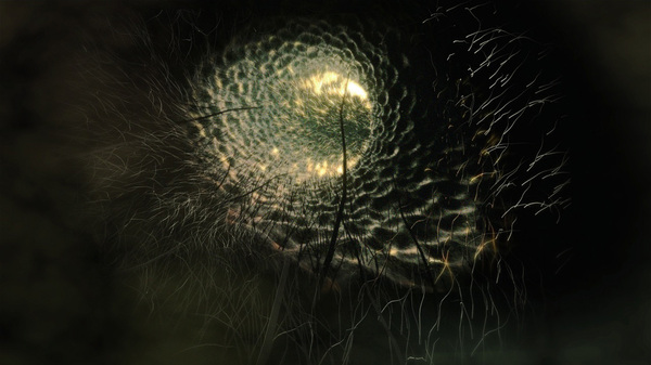 Scientific Illustrations by Markos Kay