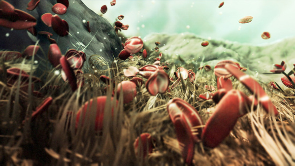 Scientific Illustrations by Markos Kay